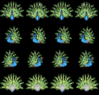 /album/characters-para-rpg-maker-xp/pav%c3%a3o-concluido-png/